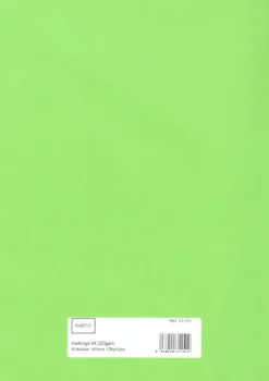 Karto Askartelutarvikkeet<Askartelunki A4 220 Gsm Kirkkaan Vihrea 10 Ark/Pss