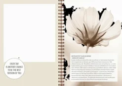 Burde Kalenterit><noscript><img width=