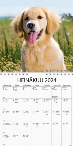 Burde Kalenterit>Seinakalenteri 2024 Koiranpennut