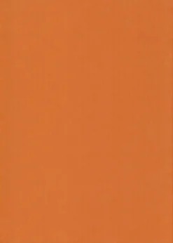 Karto Askartelutarvikkeet>nki A4 220Gsm Oranssi 5Ark/Pss