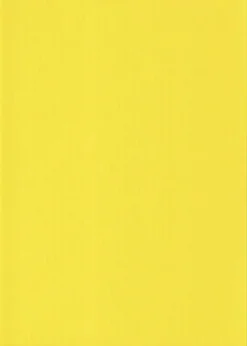 Karto Askartelutarvikkeet<nki Keltainen A4 220Gsm 5Ark/Pss