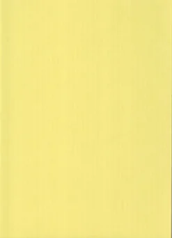 Karto Askartelutarvikkeet>nki Vaaleankeltainen A4 220Gsm 5Ark/Pss