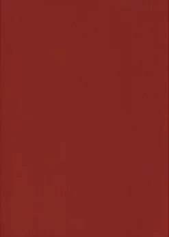 Ei merkkiä Askartelutarvikkeet>Kartonki Joulunpunainen 50X70Cm 220Gsm