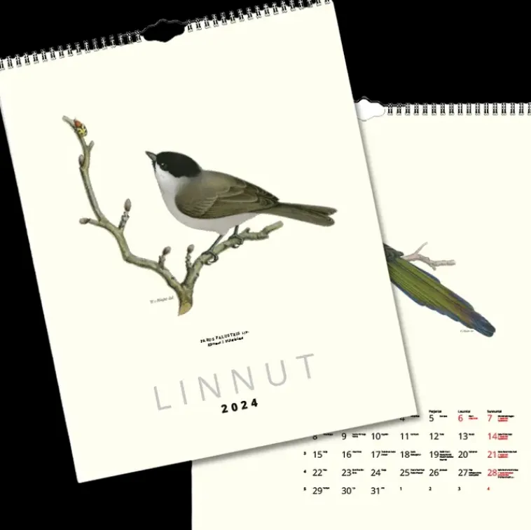 Art Collection Kalenterit>Seinakalenteri Linnut Von Wright 2024