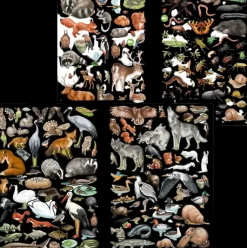 Creative Studio Askartelutarvikkeet<Wild Forest Tarrakirja